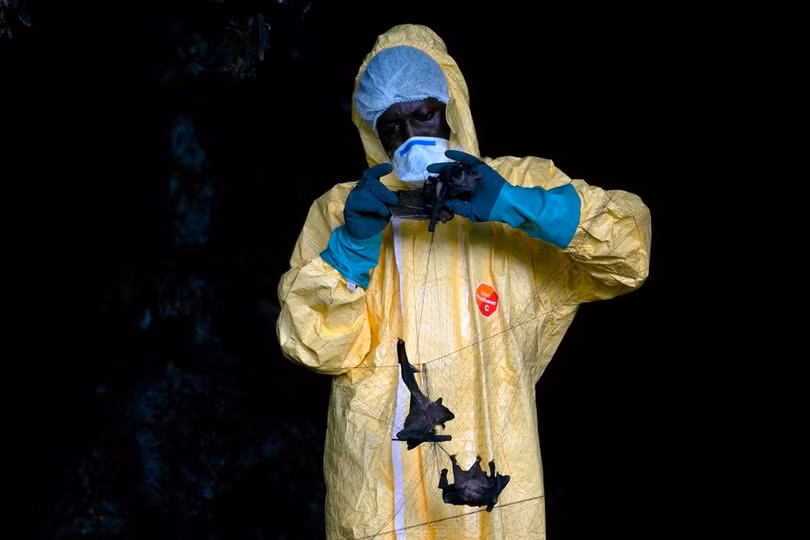 Phát hiện virus mới giống SARS-CoV-2 ở Trung Quốc