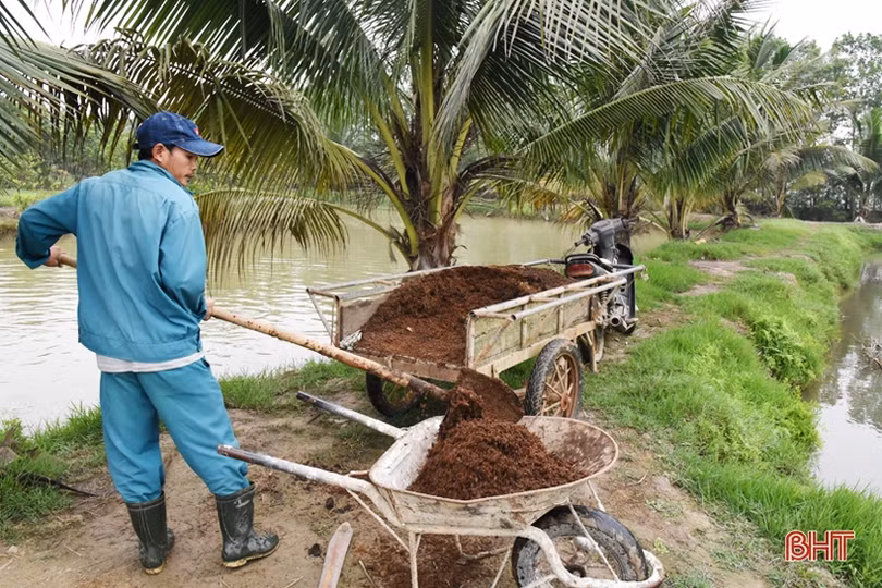 Thay đổi lối nghĩ trồng cây ăn quả... “cho vui” ở Lộc Hà