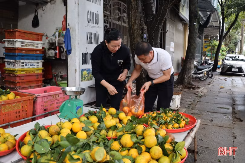 Giá cam Hà Tĩnh tăng cao, sức mua còn thấp