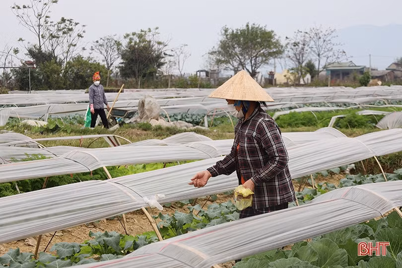 Tạo cơ hội để cán bộ, hội viên nông dân Hà Tĩnh bày tỏ tâm tư, nguyện vọng