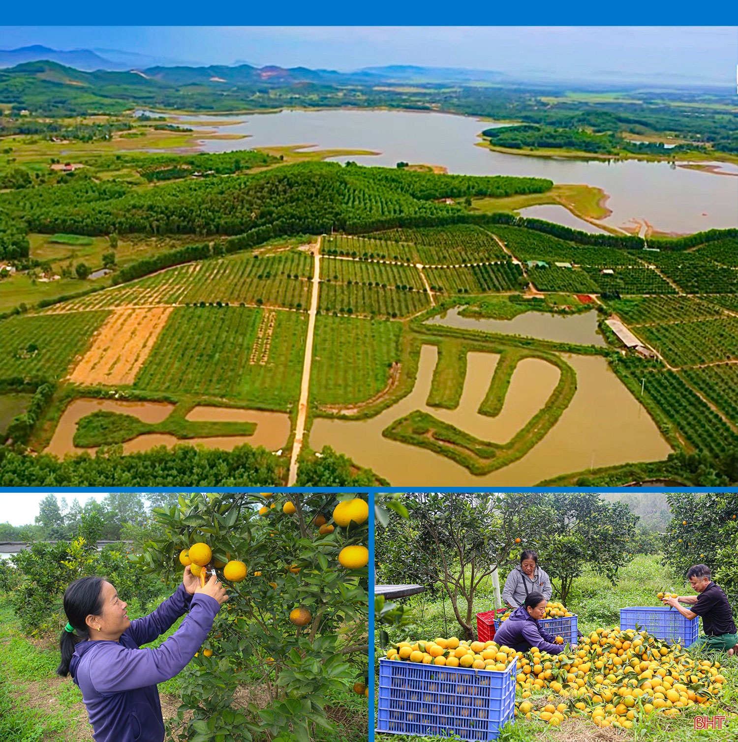 Giám đốc hợp tác xã ở Hà Tĩnh “mê” làm nông nghiệp hữu cơ