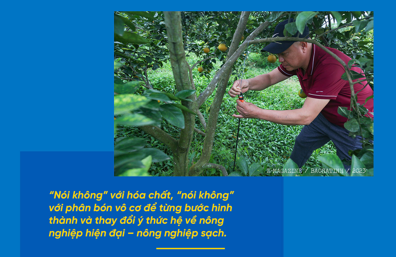 Giám đốc hợp tác xã ở Hà Tĩnh “mê” làm nông nghiệp hữu cơ