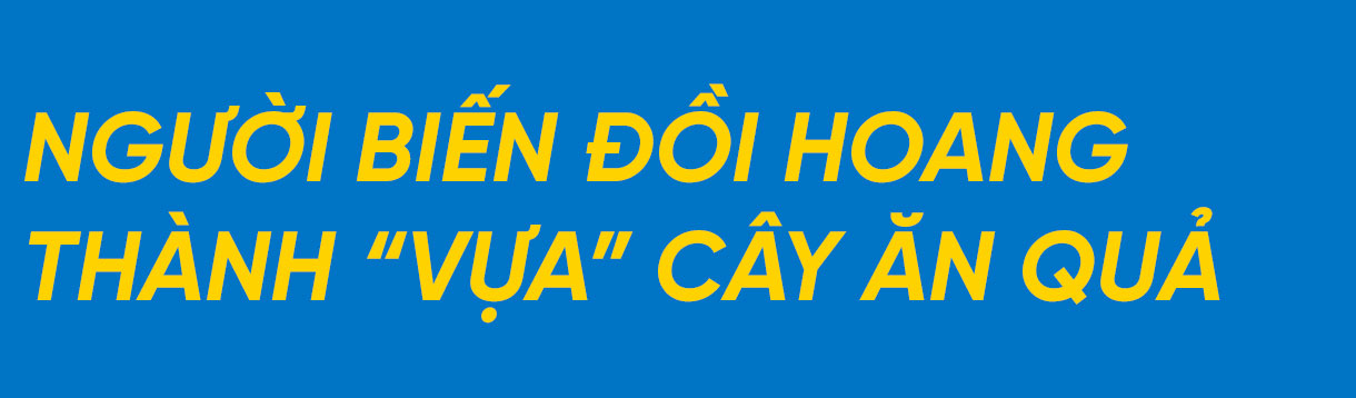 Giám đốc hợp tác xã ở Hà Tĩnh “mê” làm nông nghiệp hữu cơ