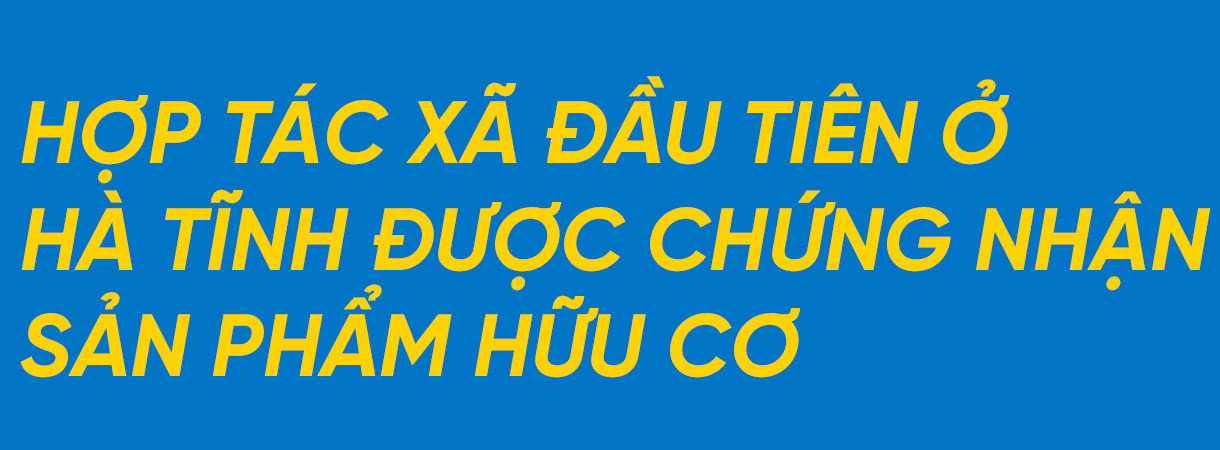 Giám đốc hợp tác xã ở Hà Tĩnh “mê” làm nông nghiệp hữu cơ