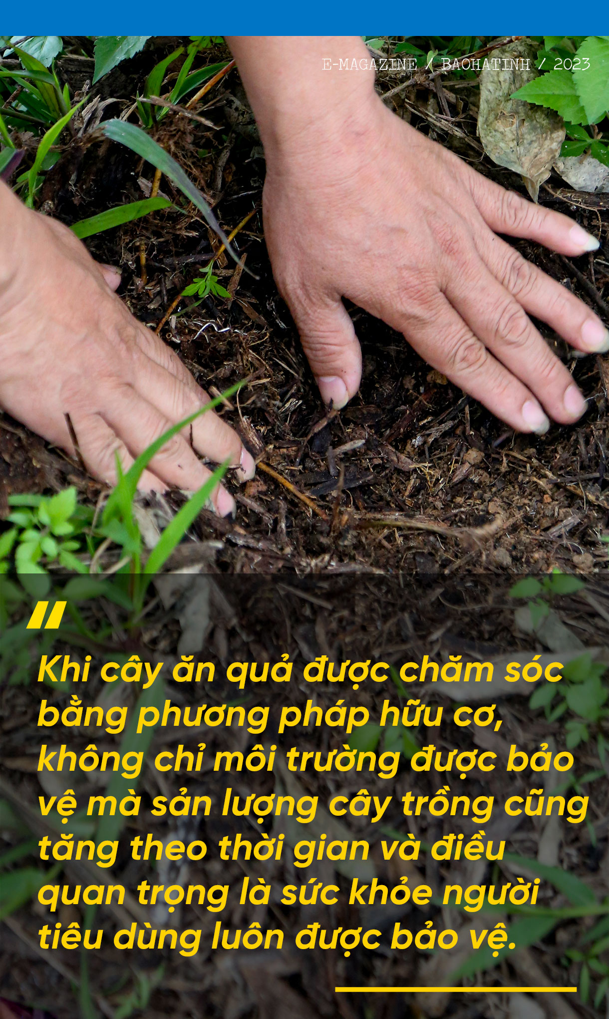Giám đốc hợp tác xã ở Hà Tĩnh “mê” làm nông nghiệp hữu cơ