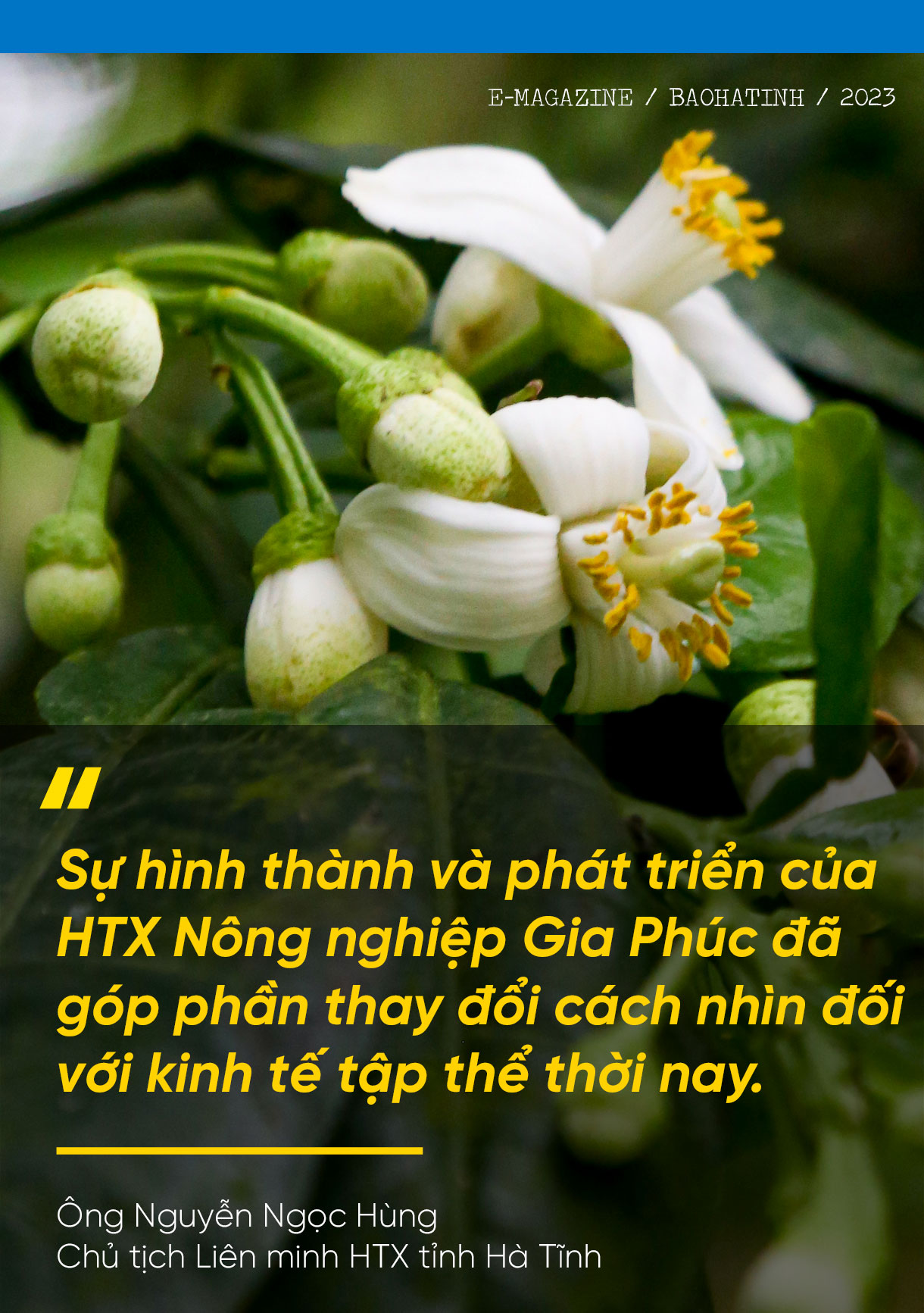 Giám đốc hợp tác xã ở Hà Tĩnh “mê” làm nông nghiệp hữu cơ