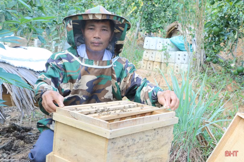 Người dân miền núi Hà Tĩnh phấn khởi vì mật ong được giá
