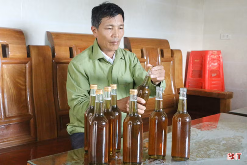Người dân miền núi Hà Tĩnh phấn khởi vì mật ong được giá