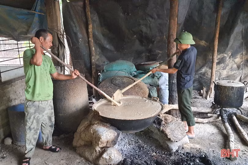 Khám phá trang trại cam Khe Xai ở vùng thượng Kỳ Anh
