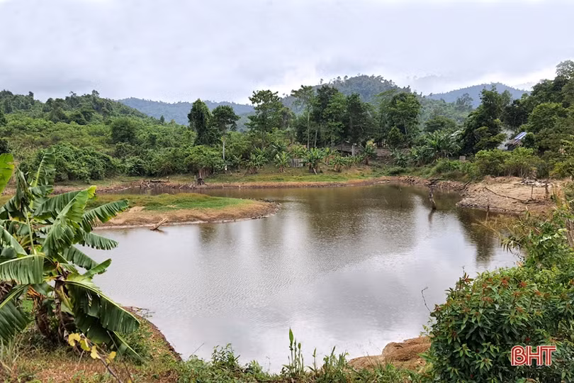 Khám phá trang trại cam Khe Xai ở vùng thượng Kỳ Anh
