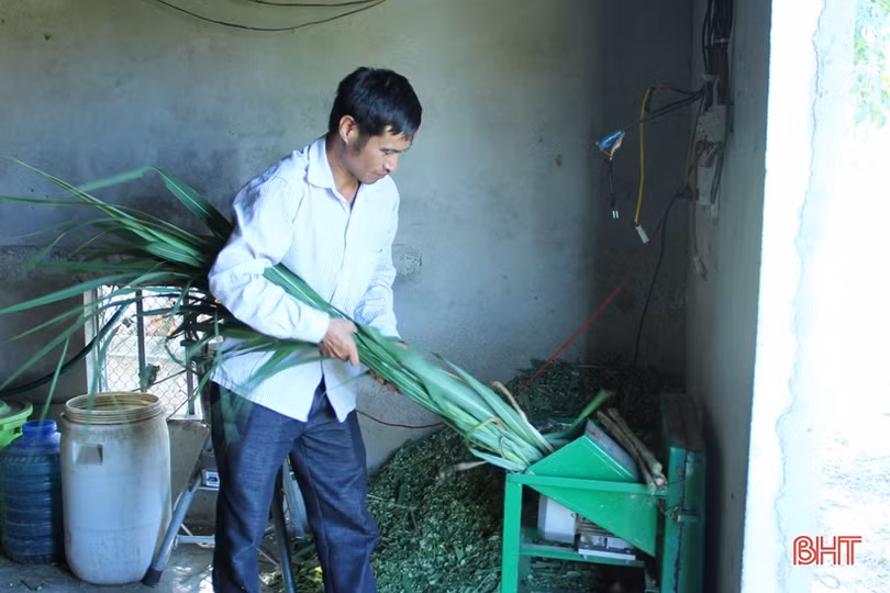 Giám đốc HTX doanh thu hơn 15 tỷ/năm ở Hà Tĩnh khởi nghiệp... từ 2 triệu đồng