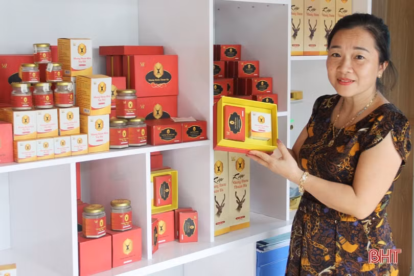 “Rộng cửa” để sản phẩm OCOP Hà Tĩnh vươn xa