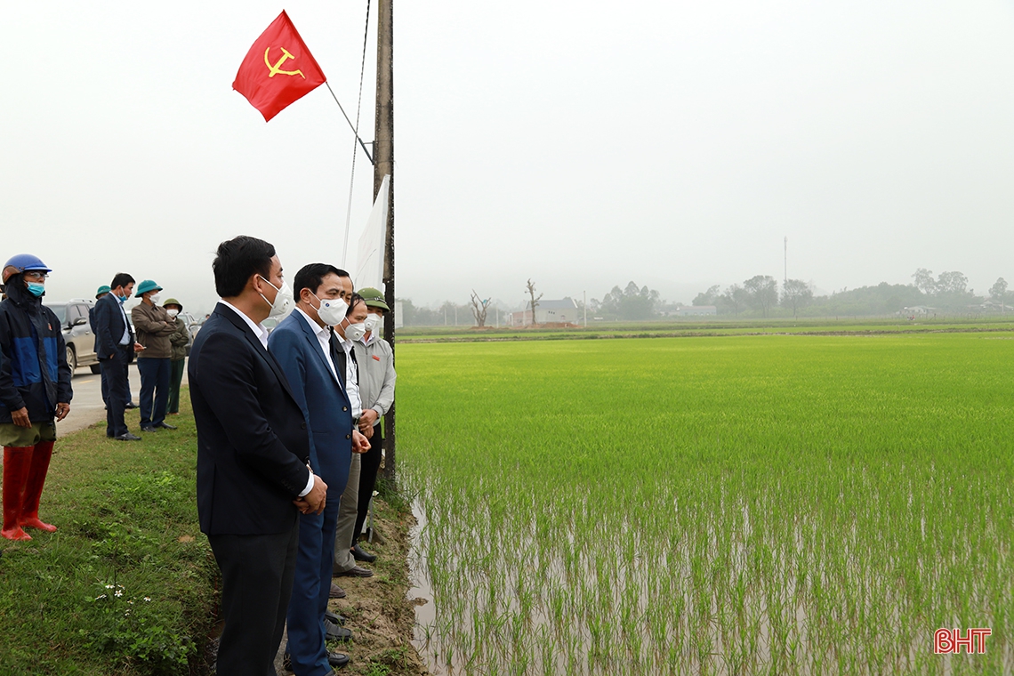 Kỳ Anh phát huy lợi thế vùng miền, phấn đấu đạt chuẩn huyện nông thôn mới vào năm 2023