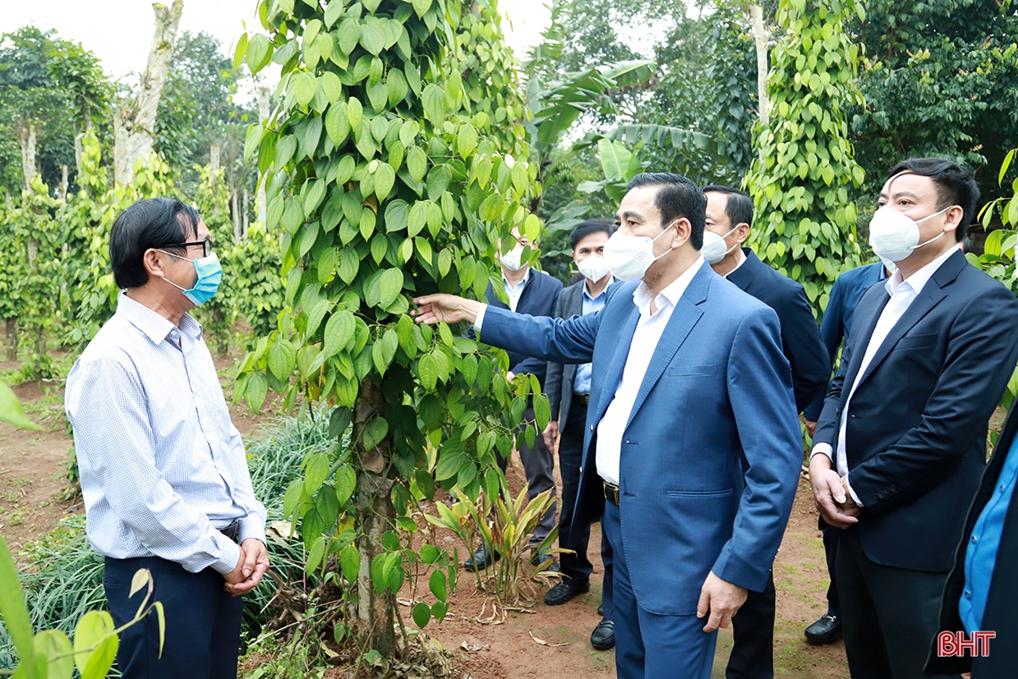 Kỳ Anh phát huy lợi thế vùng miền, phấn đấu đạt chuẩn huyện nông thôn mới vào năm 2023