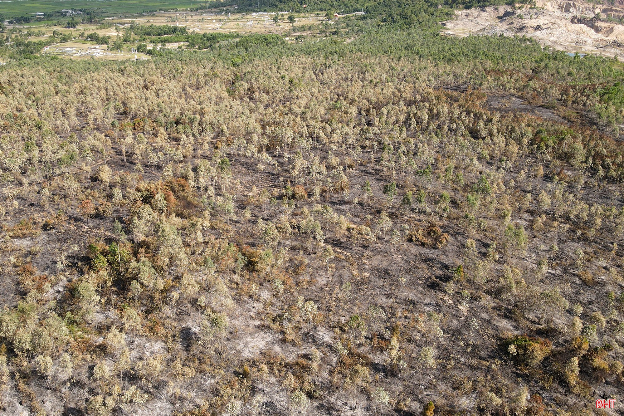 bqbht_br_chay-rung-5.jpg