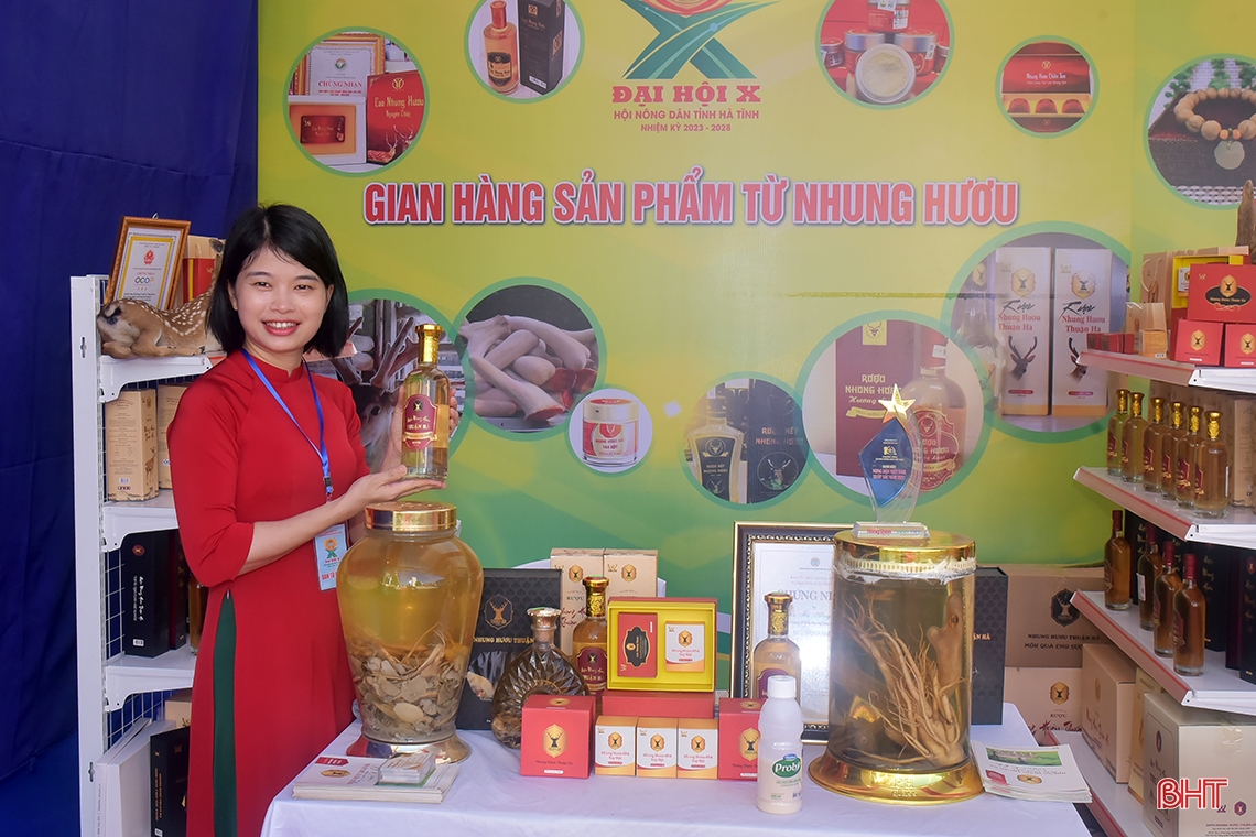 Ấn tượng gian hàng trưng bày sản phẩm nông nghiệp tại Đại hội Hội Nông dân Hà Tĩnh