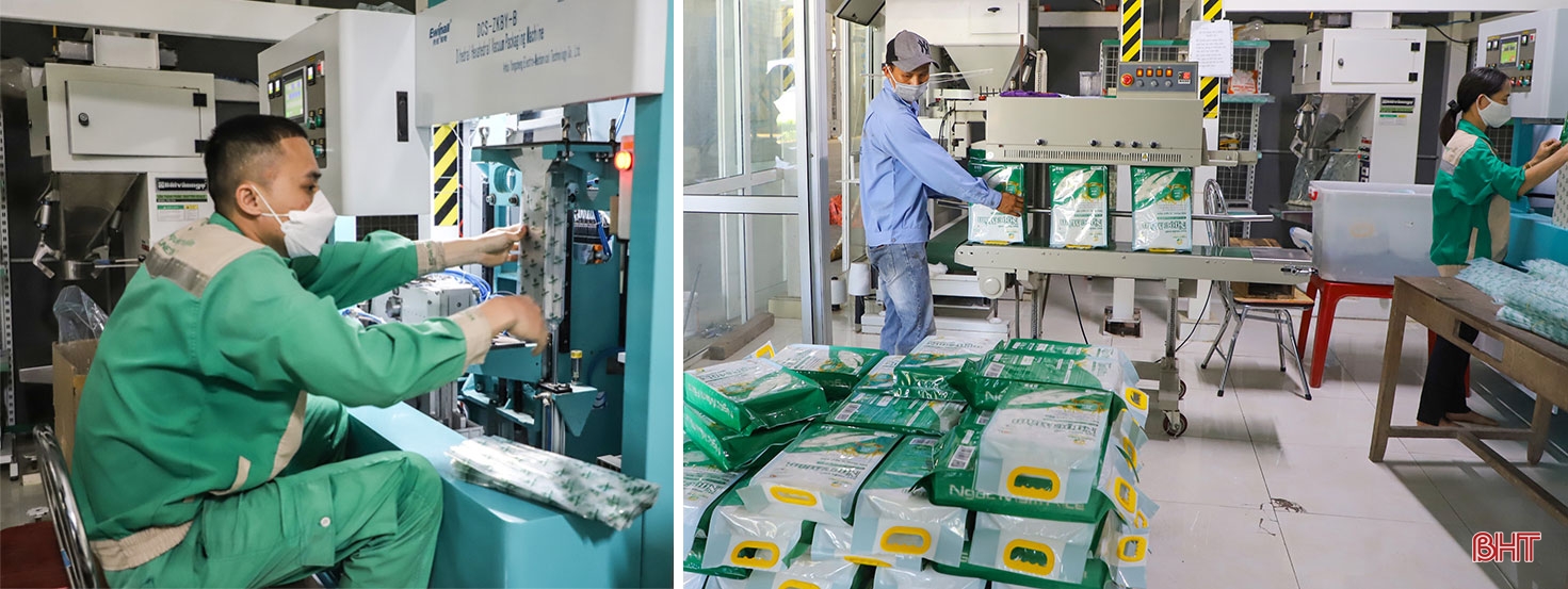 Tập trung, tích tụ ruộng đất - kiến tạo nền nông nghiệp hiện đại, bền vững (Bài 2): Những “nút thắt” cần tháo gỡ