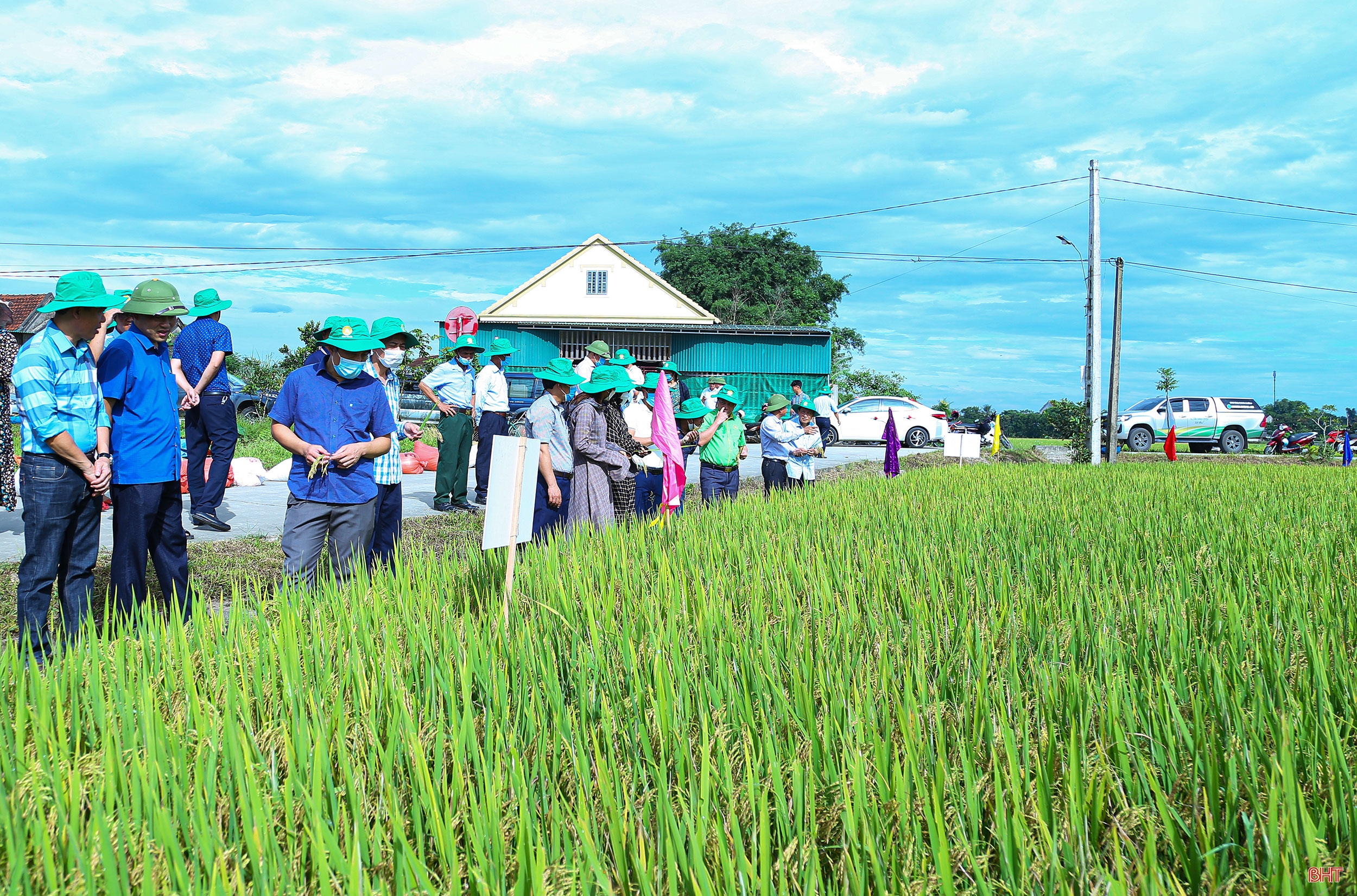 Tập trung, tích tụ ruộng đất - kiến tạo nền nông nghiệp hiện đại, bền vững (Bài 2): Những “nút thắt” cần tháo gỡ