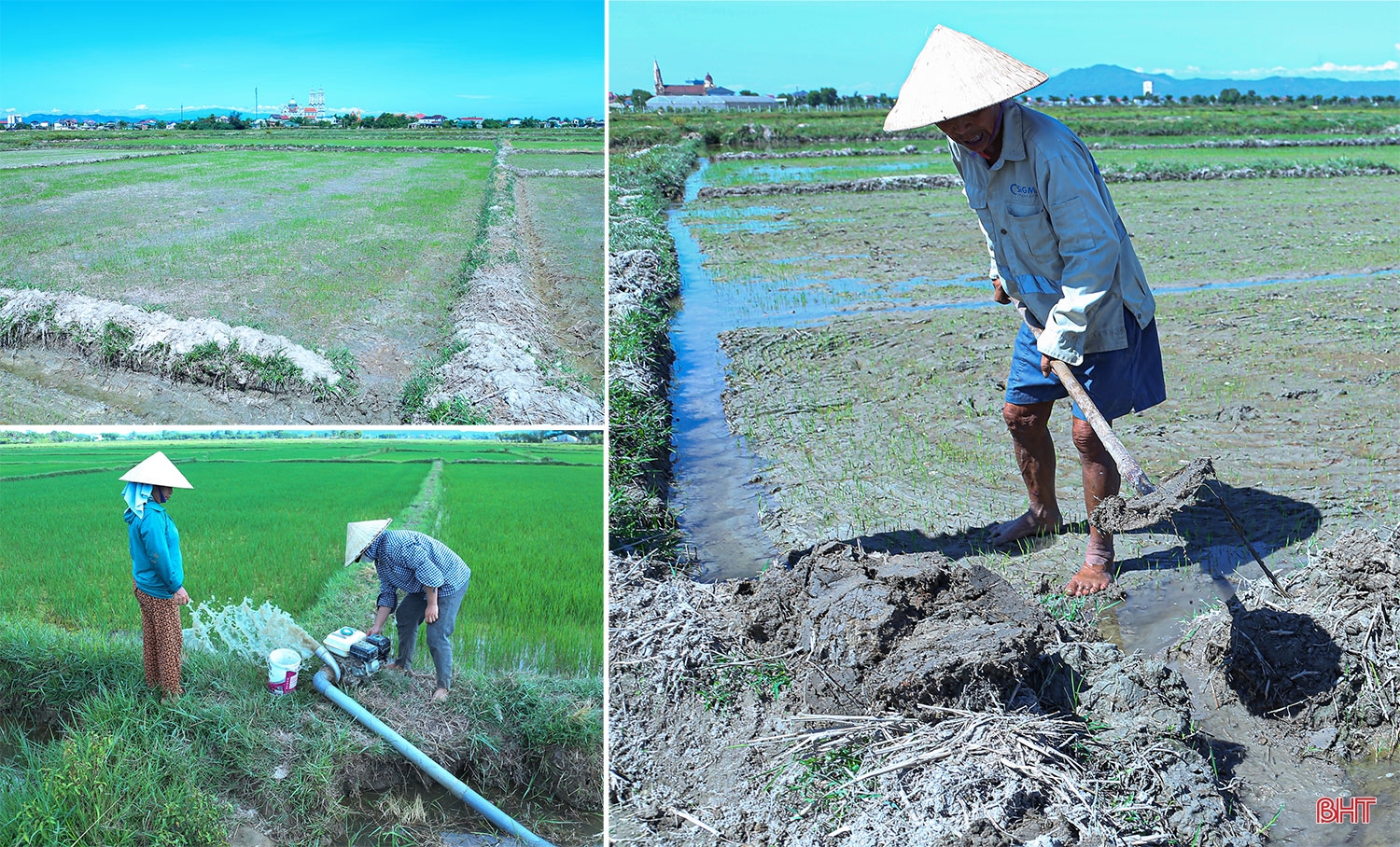 Tập trung, tích tụ ruộng đất - kiến tạo nền nông nghiệp hiện đại, bền vững (Bài 2): Những “nút thắt” cần tháo gỡ