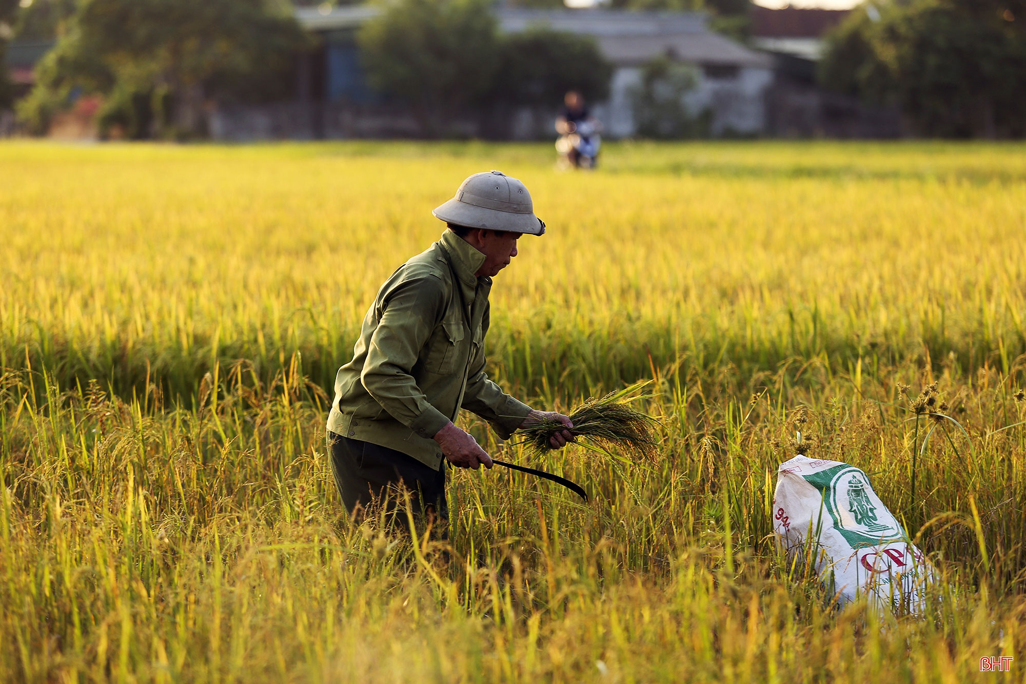 Tập trung, tích tụ ruộng đất - kiến tạo nền nông nghiệp hiện đại, bền vững (Bài 2): Những “nút thắt” cần tháo gỡ