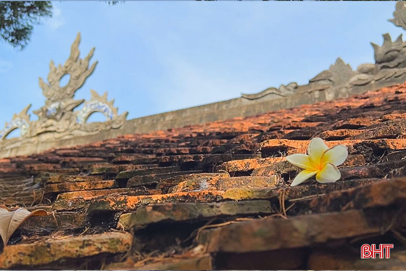 bqbht_br_thiet-ke-chua-co-ten-10.png