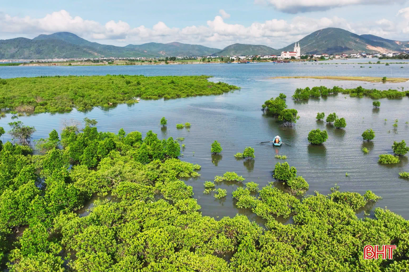 bqbht_br_thiet-ke-chua-co-ten-22.png