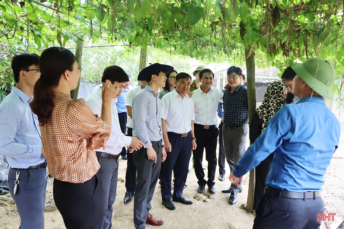 Động lực xây dựng Cẩm Xuyên thành huyện nông thôn mới nâng cao