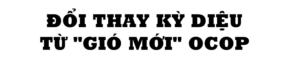 Nước mắm Hà Tĩnh “lên hương” nhờ OCOP