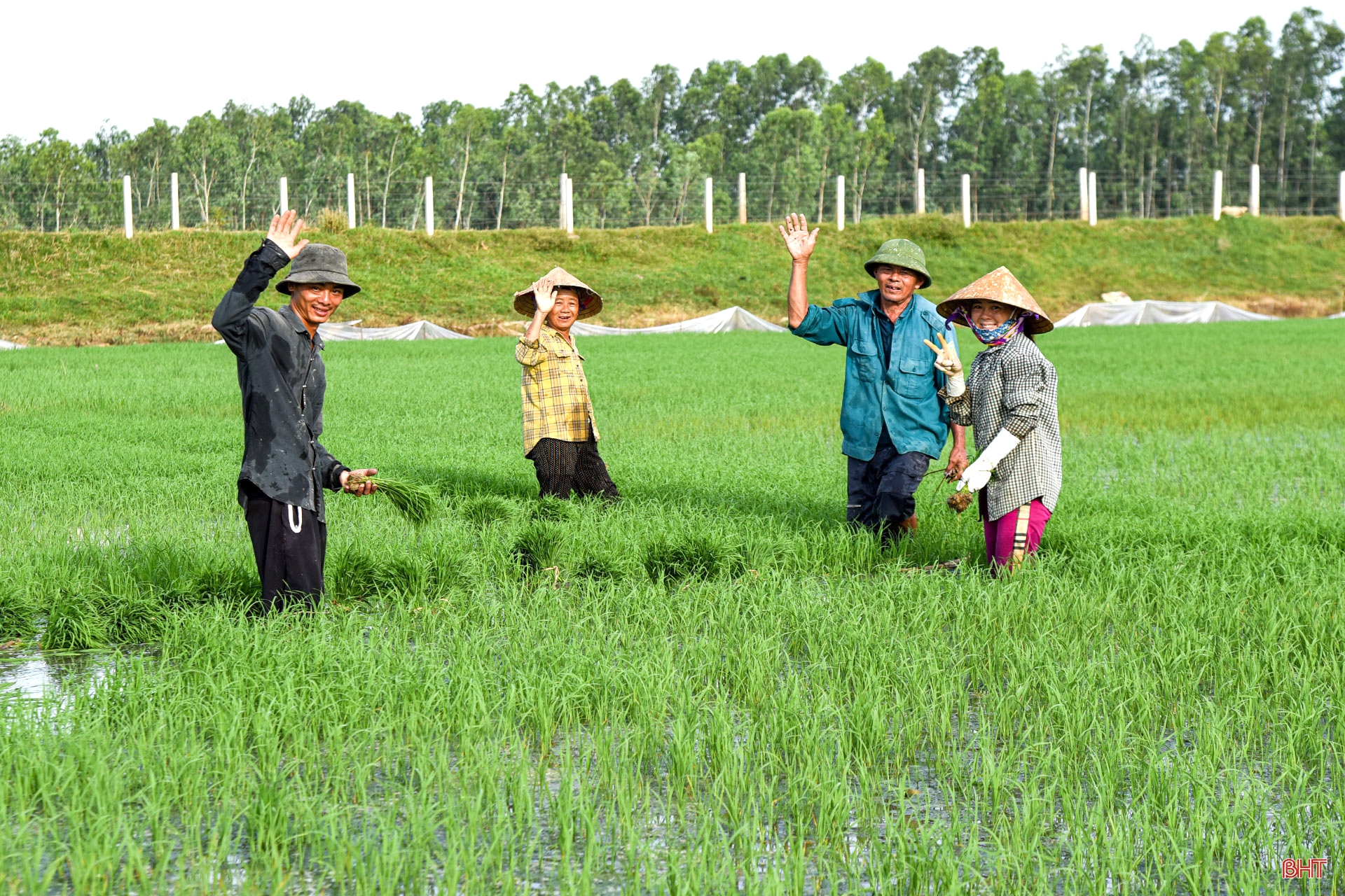 Chuyện “ngược đời” của cha con “hai lúa” ở Hà Tĩnh