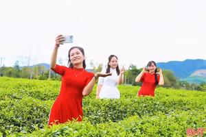 Chuyên gia thông tin về thời tiết dịp 2/9 ở Hà Tĩnh
