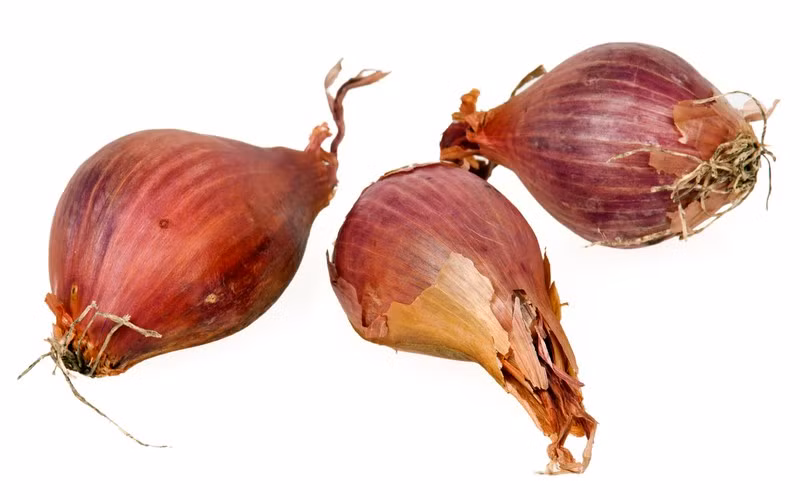 7 lợi ích sức khỏe không ngờ của hành và hẹ