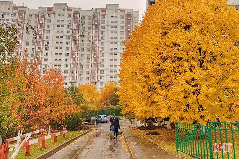 Mơ màng mùa thu vàng nước Nga dưới ống kính của du học sinh Hà Tĩnh