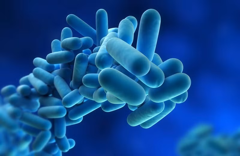 11 căn bệnh do ô nhiễm nguồn nước gây ra