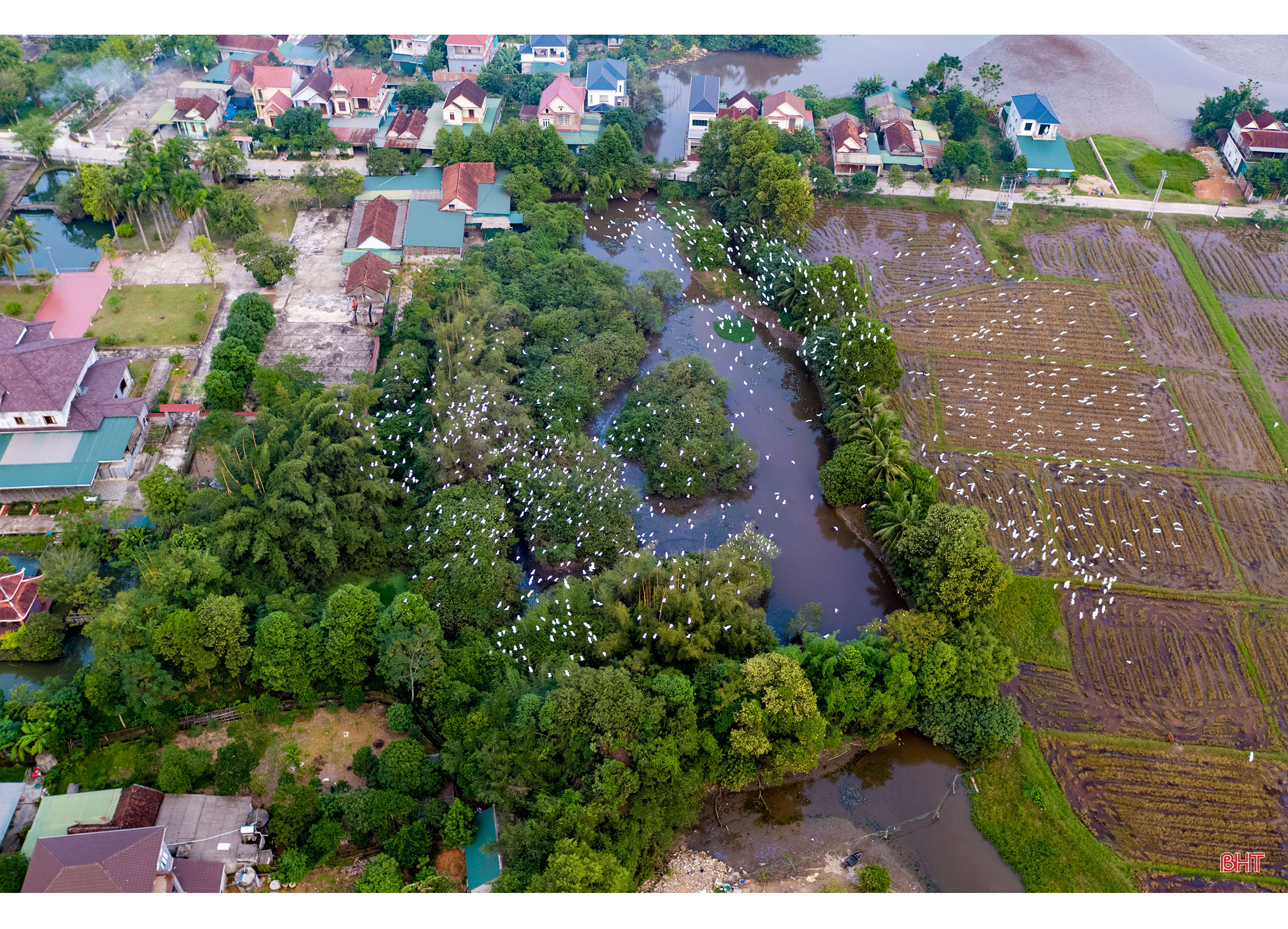 Có một U Minh thu nhỏ ở Hà Tĩnh!