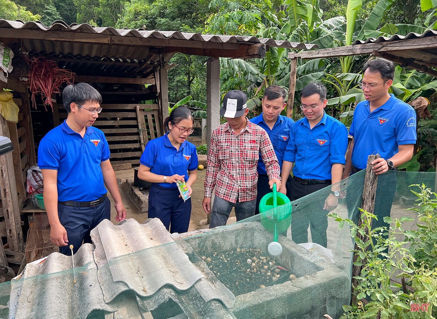 Những trái tim tình nguyện