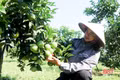 Phát huy hiệu quả nguồn vốn, tạo sinh kế bền vững ở Đồng Lộc