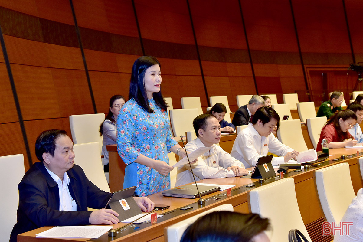 Thực hiện tốt chức trách của người đại biểu dân cử, bảo vệ quyền và lợi ích hợp pháp, chính đáng của cử tri