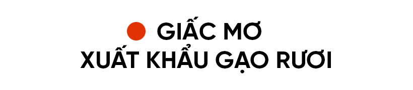 Tích tụ ruộng đất - từ chuyện những người “mê ruộng” và khát vọng nền nông nghiệp hiện đại (bài 3): Trồng lúa, “gọi” rươi và khát vọng xuất khẩu sản vật bên bờ sông La
