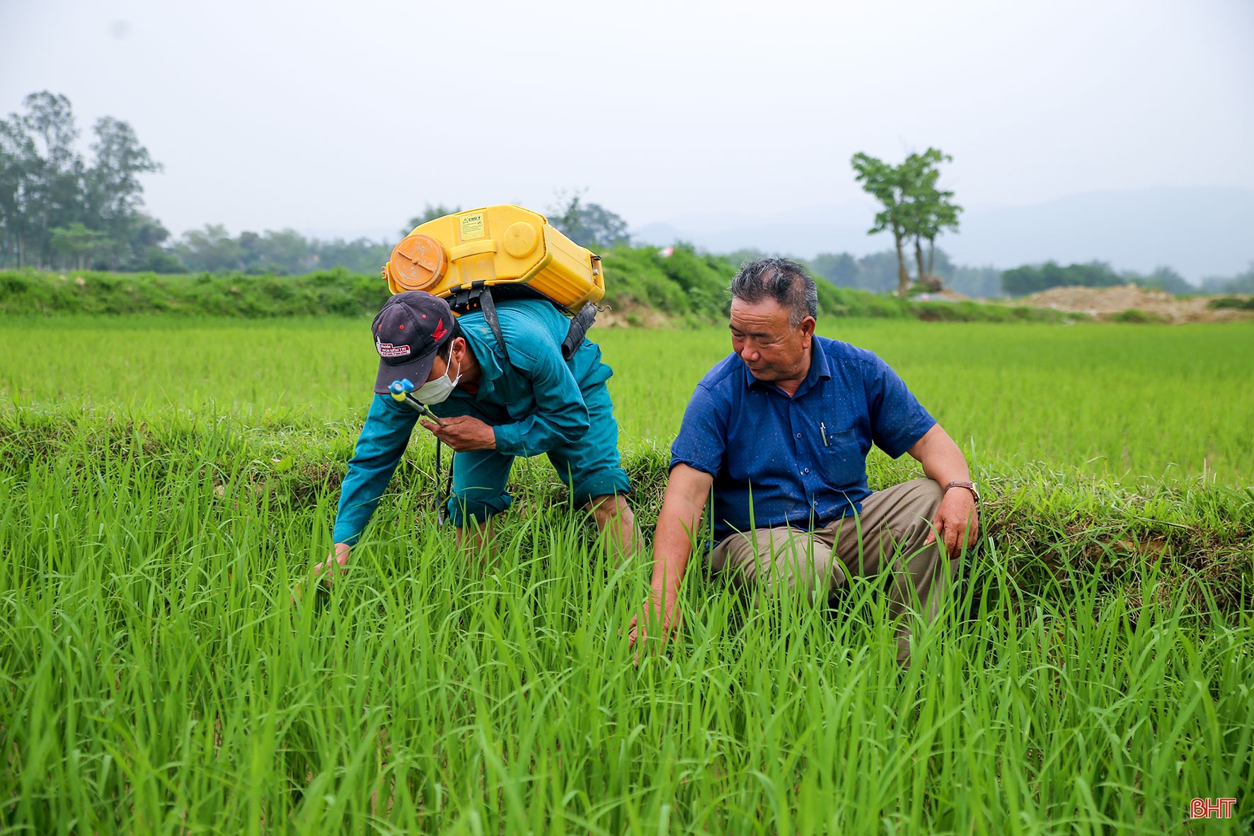 Tích tụ ruộng đất - từ chuyện những người “mê ruộng” và khát vọng nền nông nghiệp hiện đại (bài 3): Trồng lúa, “gọi” rươi và khát vọng xuất khẩu sản vật bên bờ sông La