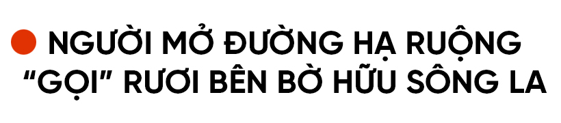 Tích tụ ruộng đất - từ chuyện những người “mê ruộng” và khát vọng nền nông nghiệp hiện đại (bài 3): Trồng lúa, “gọi” rươi và khát vọng xuất khẩu sản vật bên bờ sông La