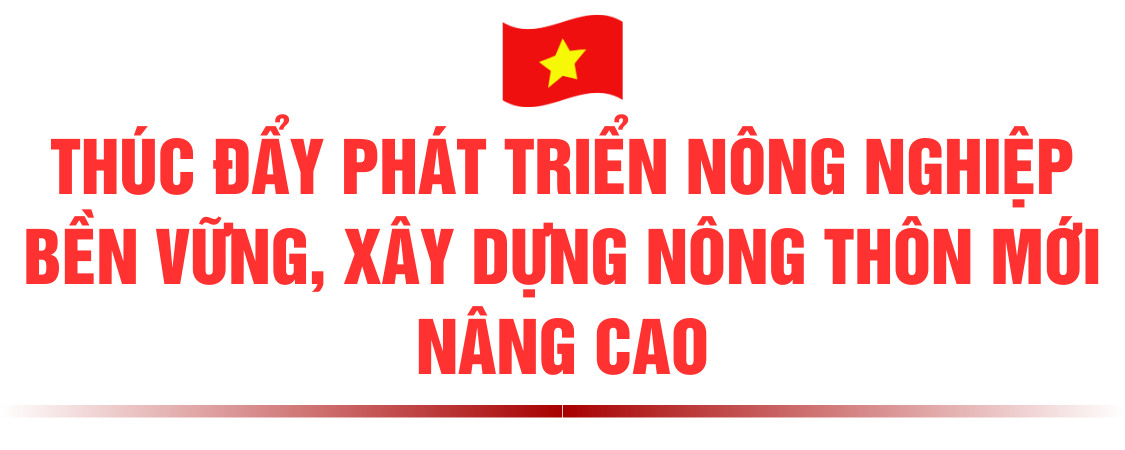 3-dong-1.png