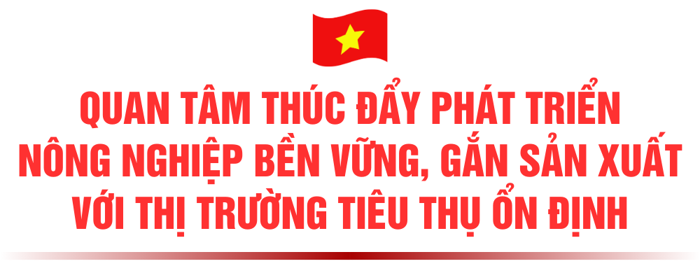 3-dong-3.png