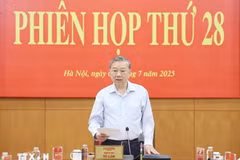 Kịp thời phát hiện, xử lý các sai phạm liên quan đến sắp xếp bộ máy