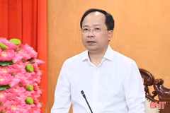 Ban Thường vụ Tỉnh ủy, Ban Chấp hành Đảng bộ tỉnh cho ý kiến nhiều nội dung quan trọng
