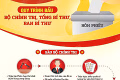 Trung ương khóa mới bầu Bộ Chính trị, Tổng Bí thư, Ban Bí thư như thế nào?