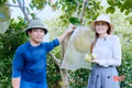 Khám phá trang trại hơn 8.000 mét-vuông cây trái sum suê không cần thuê lao động