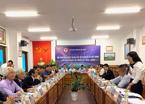 4 CLB được cấp phép ngoại lệ để tham dự V.League 2020