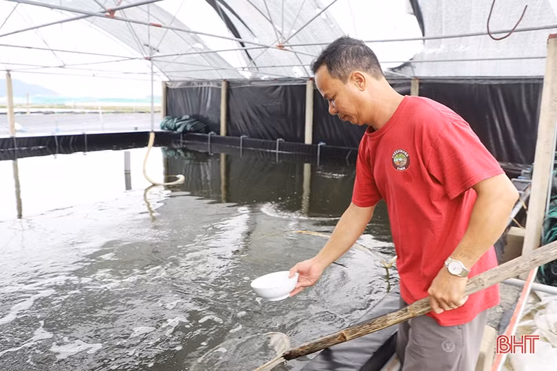 Người nuôi phòng ngừa dịch bệnh cho tôm sau mưa lớn