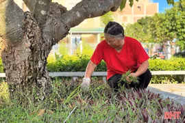 Người cựu TNXP hơn 15 năm lặng lẽ chăm sóc đài tưởng niệm liệt sĩ