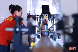 Cơ sở sản xuất sản phẩm OCOP chủ động "đón sóng" thị trường cuối năm